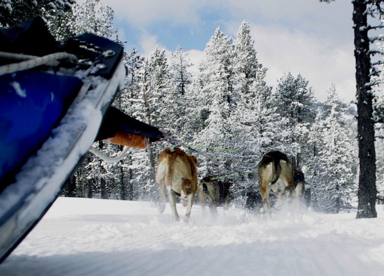 Yourtes et Tipis  en hiver – Réveillon Noël  Lapon