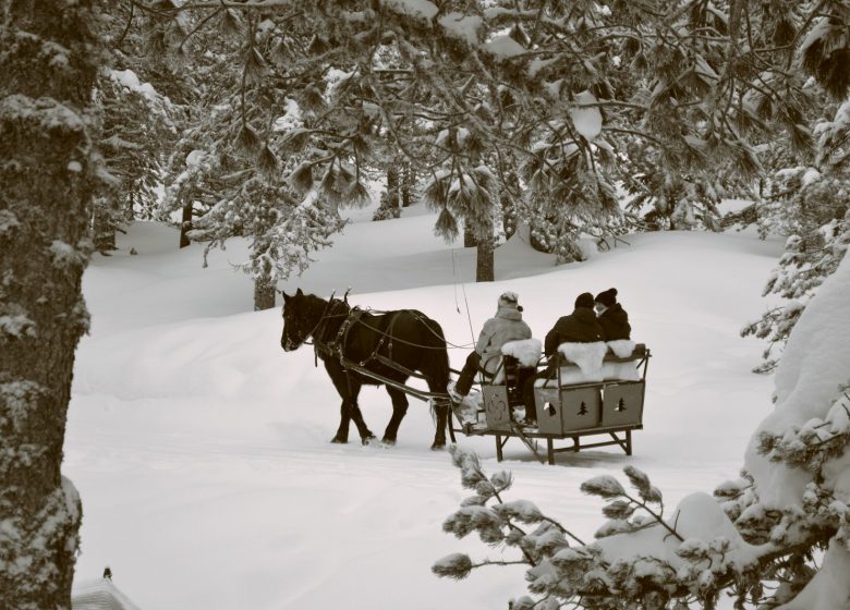 Yourtes et Tipis en hiver – Réveillon St Sylvestre