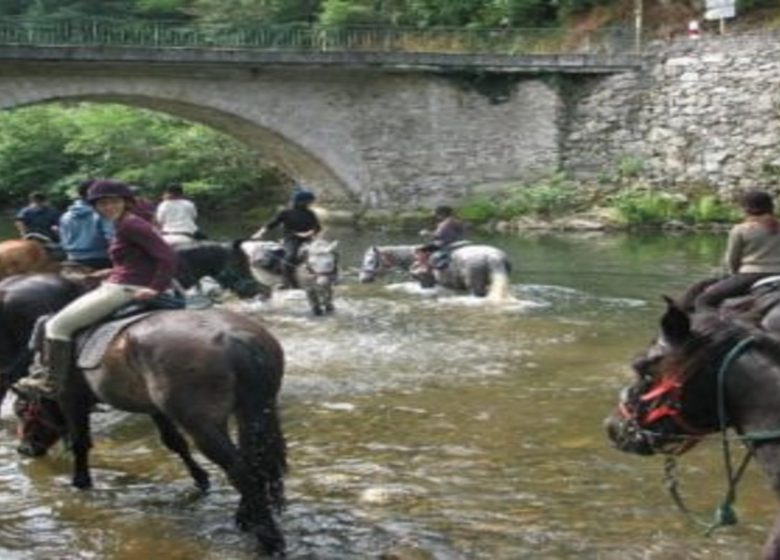 Chevauchée en Pyrénées Cathares (14 jours) – 9/13 ans