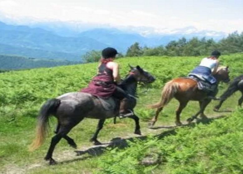 Chevauchée en Pyrénées Cathares (14 jours) – 9/13 ans