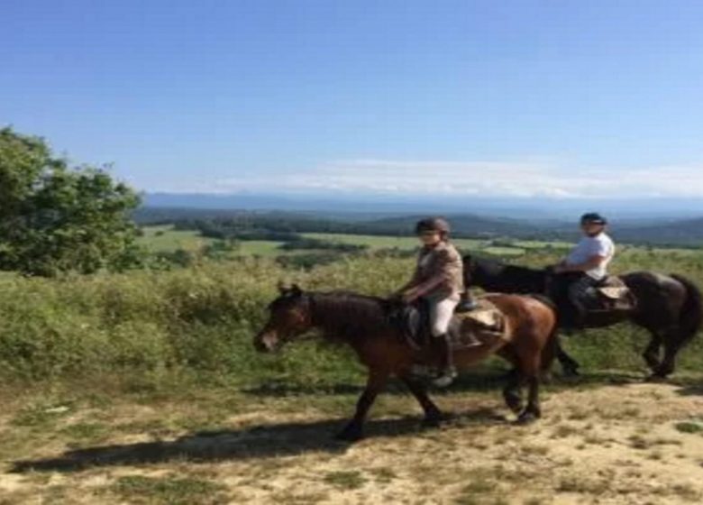 Chevauchée en Pyrénées Cathares (14 jours) – 9/13 ans