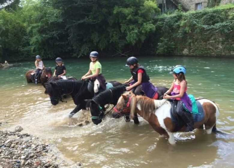 Chevauchée en Pyrénées Cathares (14 jours) – 9/13 ans