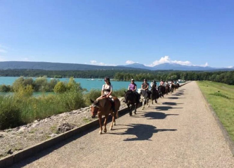 Chevauchée en Pyrénées Cathares (7 jours) – 9/13 ans