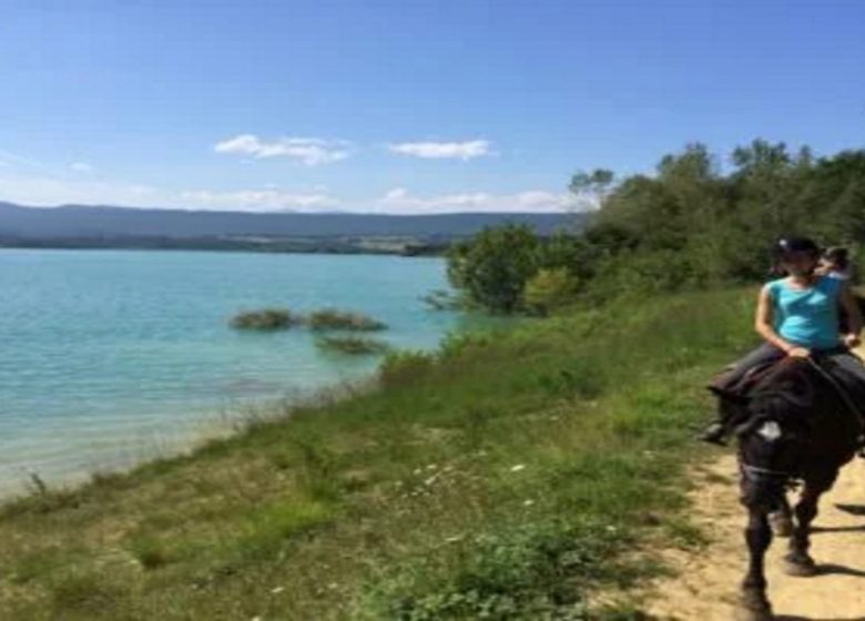 Chevauchée en Pyrénées Cathares (7 jours) – 9/13 ans