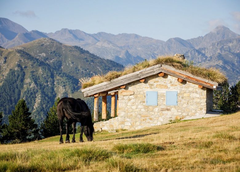 Gîte La rivière Chantante