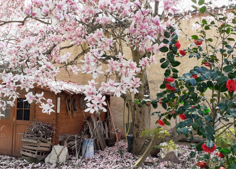 Studio « La Roseraie du Barbet »