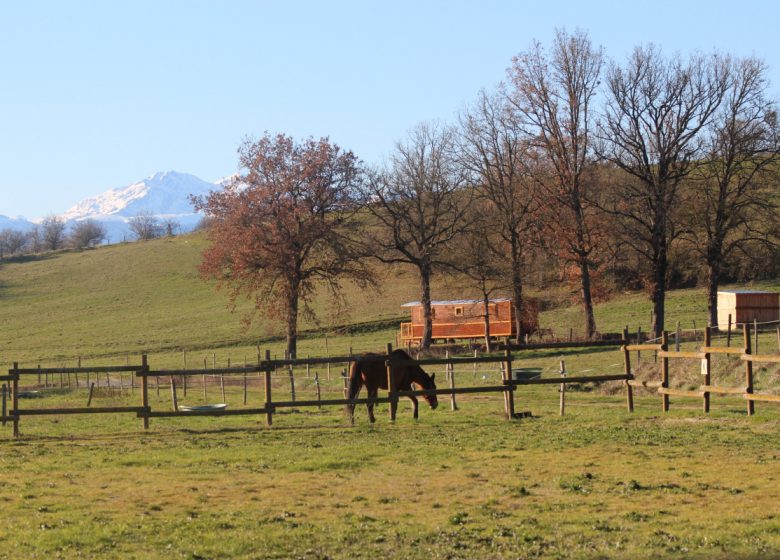 Roulotte « Les Hirondelles »