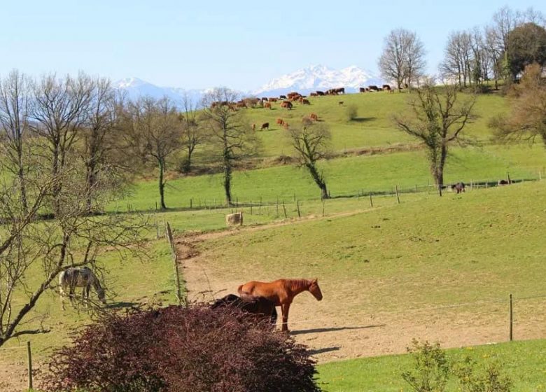 Roulotte « Les Hirondelles »