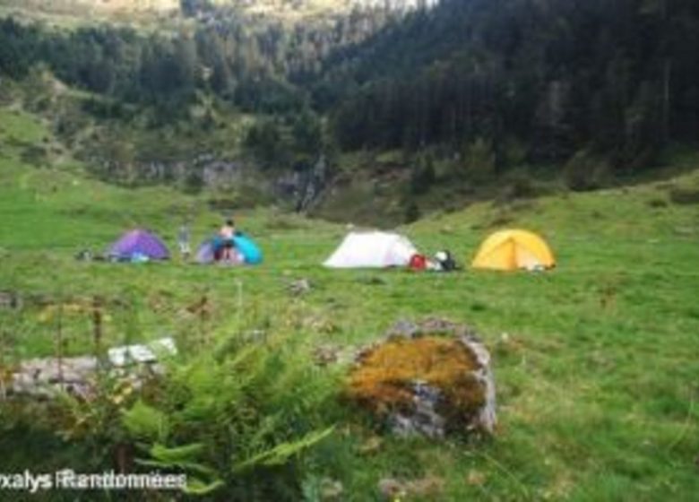 Bivouac dans la réserve sauvage du Valier – Oxalys Randonnées