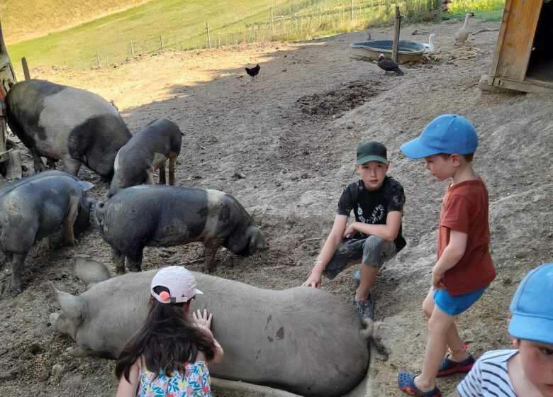 Visite de la ferme de Castel Pouzouilh