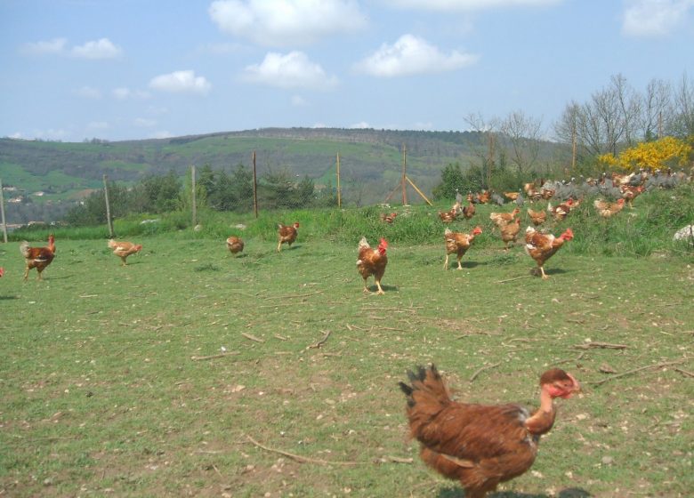 Ferme de Caoué