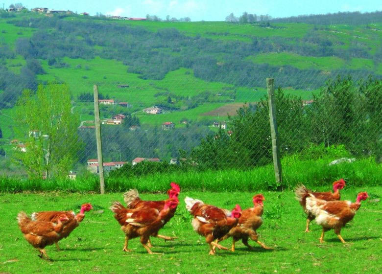 Ferme de Caoué