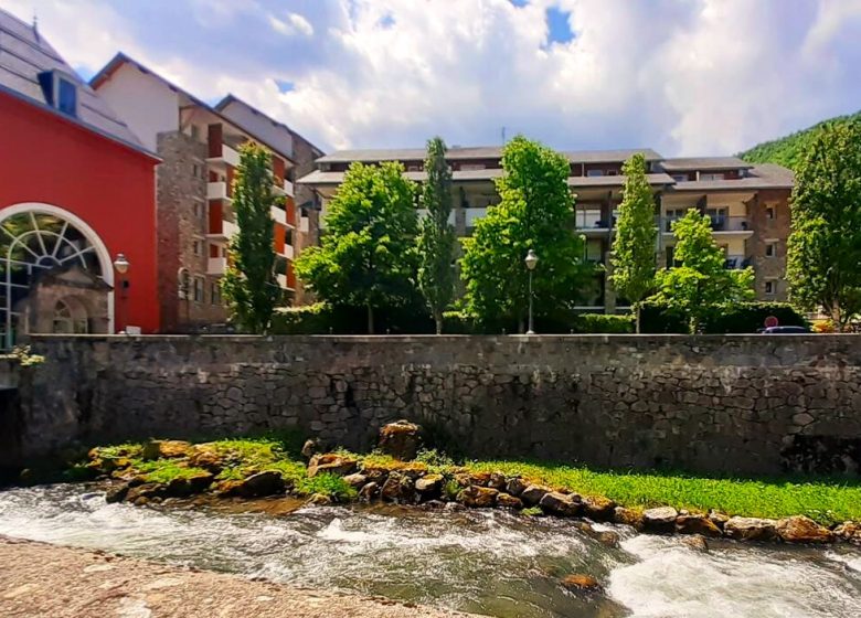 Appartement pied du Teich et Téléphérique 2 personnes