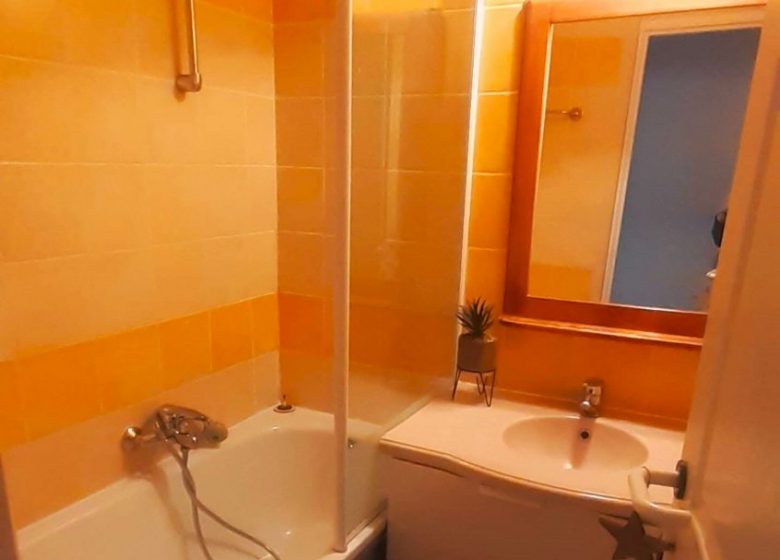 Appartement pied du Teich et Téléphérique 2 personnes