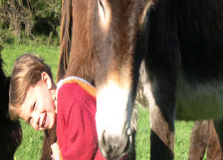 Rando à la ferme de Unac à Appy – la Ferme Aux Anes