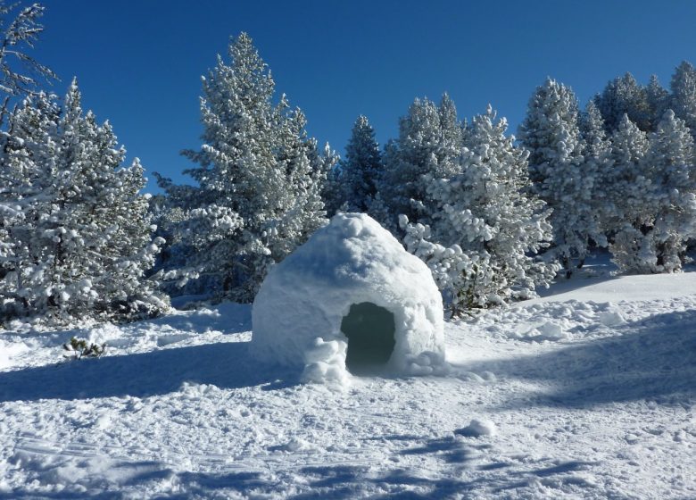 Atelier construction d’igloo avec Angaka