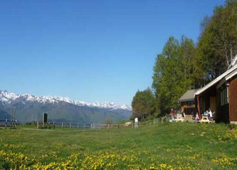 Villages et montagnes du Pays d’Aillou – La Ferme aux Anes