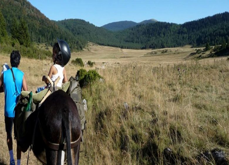 Villages et montagnes du Pays d’Aillou – La Ferme aux Anes