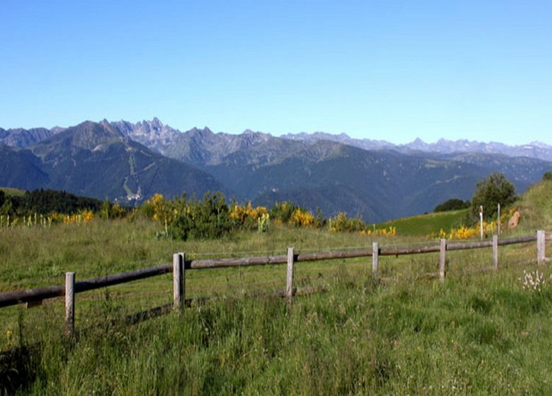 Villages et montagnes du Pays d’Aillou – La Ferme aux Anes