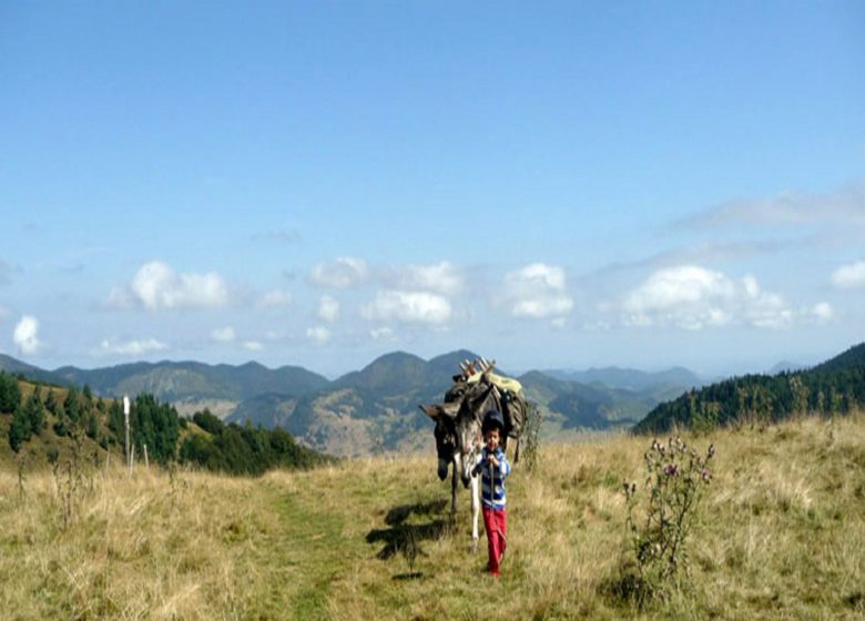 Villages et montagnes du Pays d’Aillou – La Ferme aux Anes