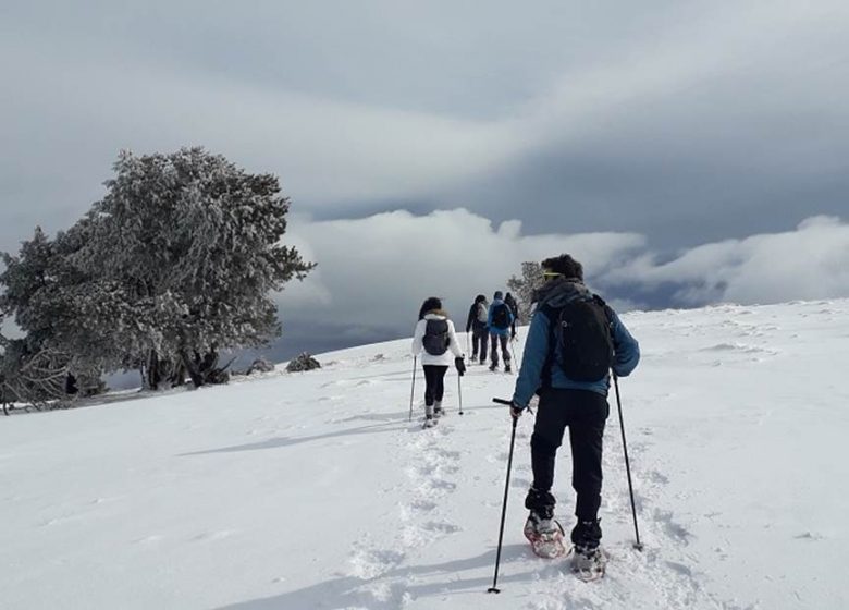 Rando journée raquettes à neige « La Nordique » avec les sentiers de Babeth