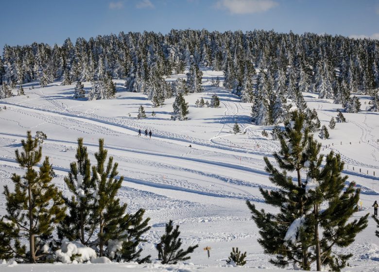 Raquettes à neige « gourmandes à la belle étoile » sur le plateau de Beille