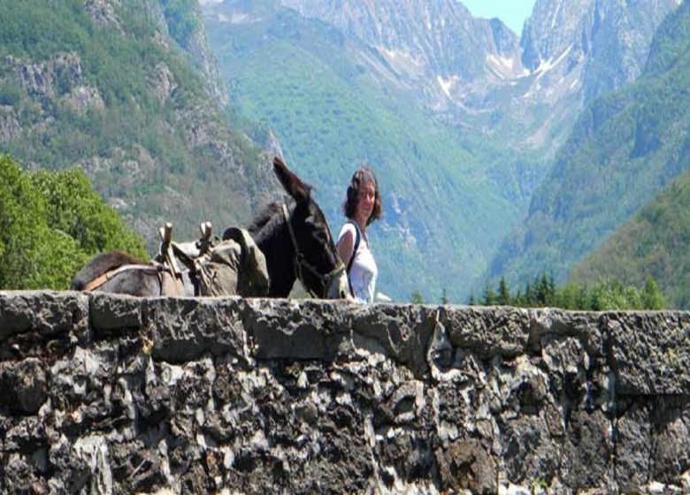 Découverte des Vallées d’Ax – La Ferme aux Anes