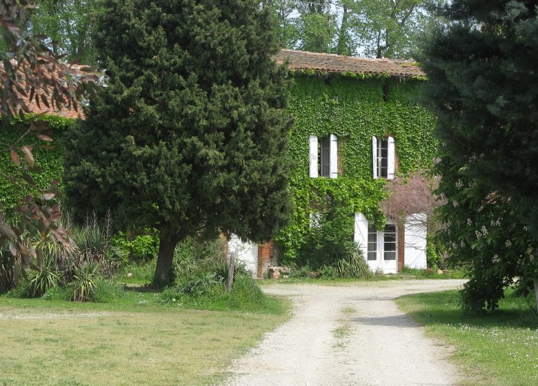 Gîte de Palosse