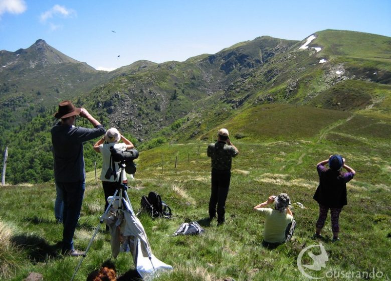 Randonnée Nature Couserando – Oiseaux des cimes