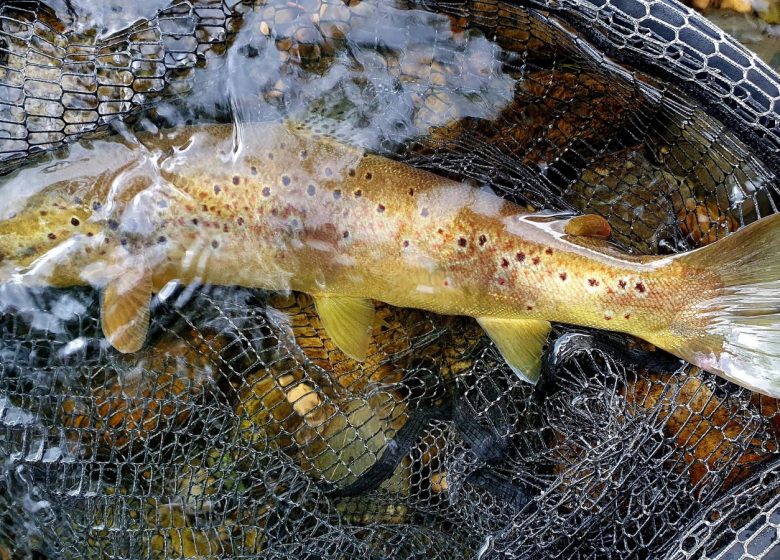 Stage de pêche – Initiation Mouche au Fouet