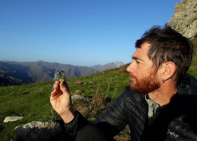 Journée « Oiseaux de montagne…et d’ailleurs »