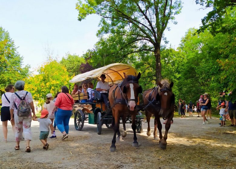 Cheval en Rênes