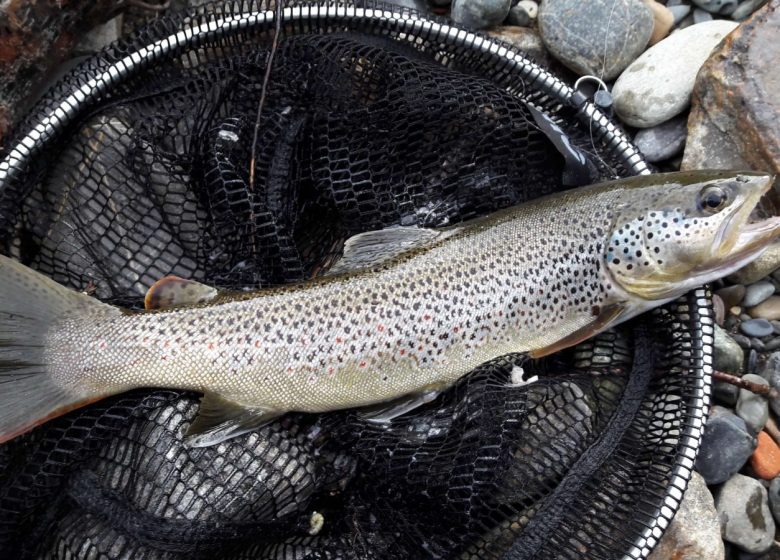 Stage de pêche initiation ou perfectionnement