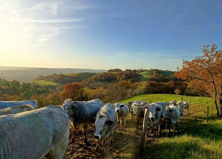 La ferme de Taux