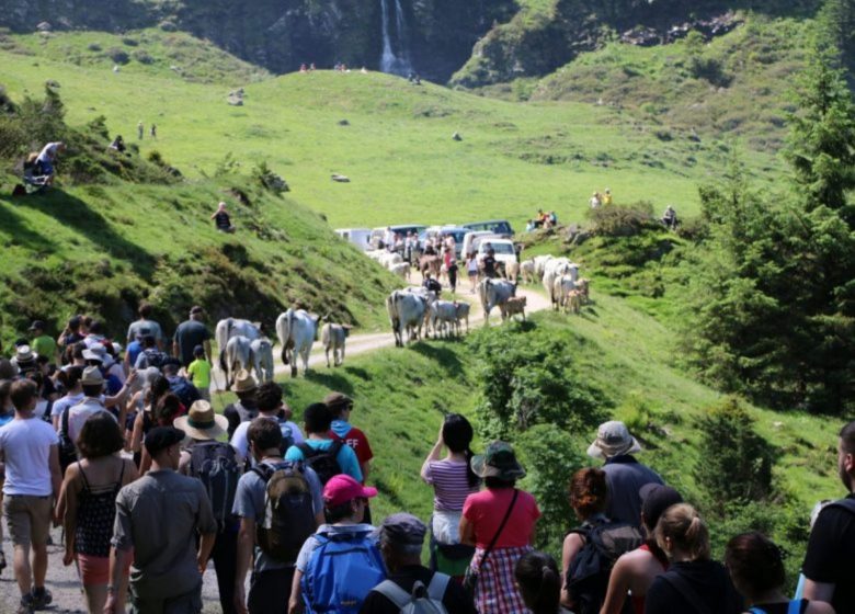 Transhumance en Bethmale