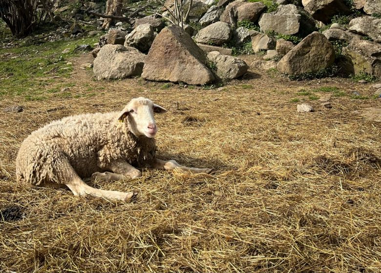 La Ferme de P.A.N