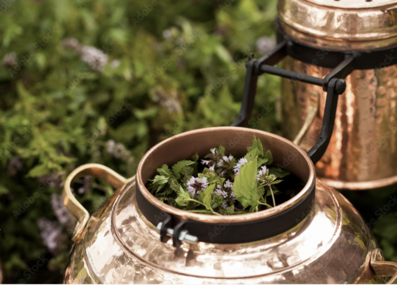 Ateliers Initiation à la distillation de plantes aromatiques et médicinales