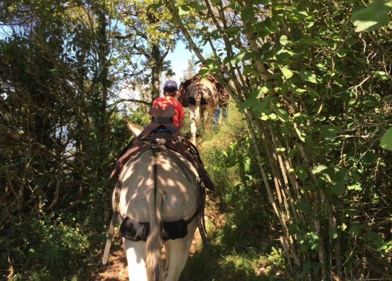 Escap’Ânes – En haut des falaises de Péreille